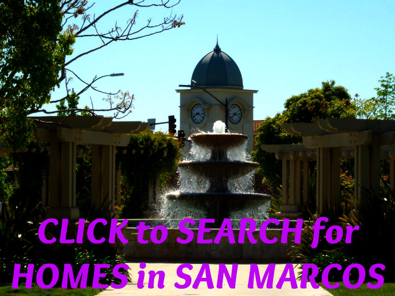 55+ Madrid Manor Home for Sale in San Marcos CA New L